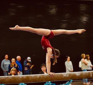 Don't know what is the difference in Beginner 4 Class?